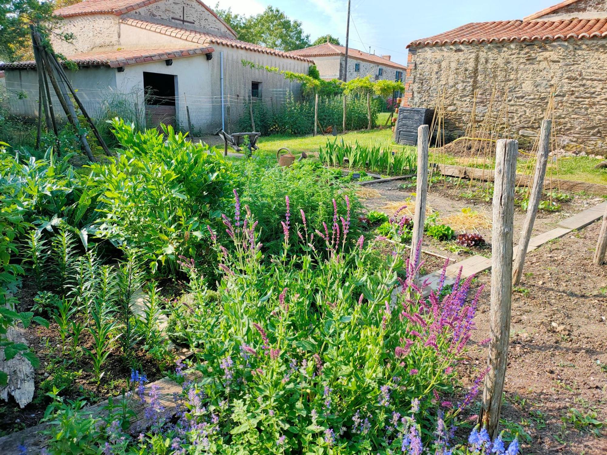 Le Vieux Logis De La Galocherie Sainte-Florence Eksteriør bilde